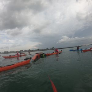 hhsg6816 hhsg6816