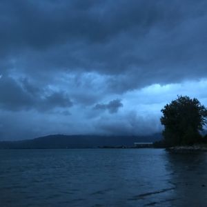 img 1113 img 1113