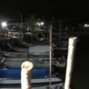img img