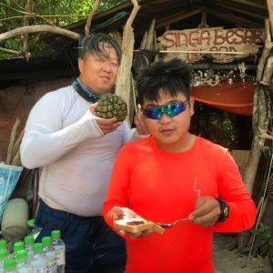 img img