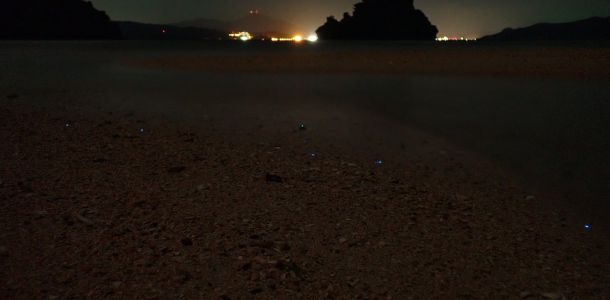 p1030118 p1030118